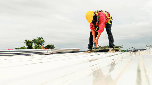 Best Metal Roofing Installation  in Easton, PA