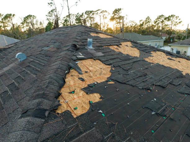 Best Asphalt Shingle Roofing  in Easton, PA