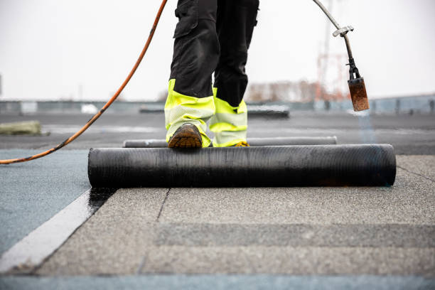 Best Steel Roofing  in Easton, PA