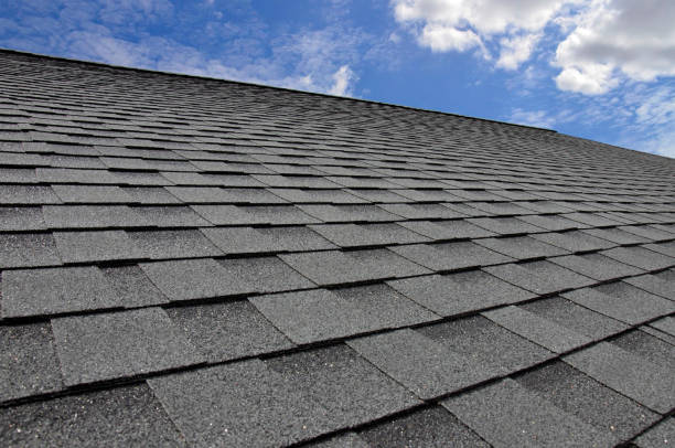 Best Roof Moss and Algae Removal  in Easton, PA